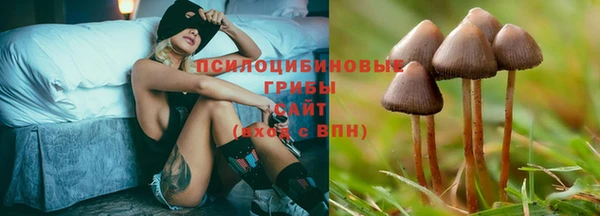 spice Абаза