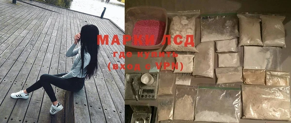 гидра Горняк