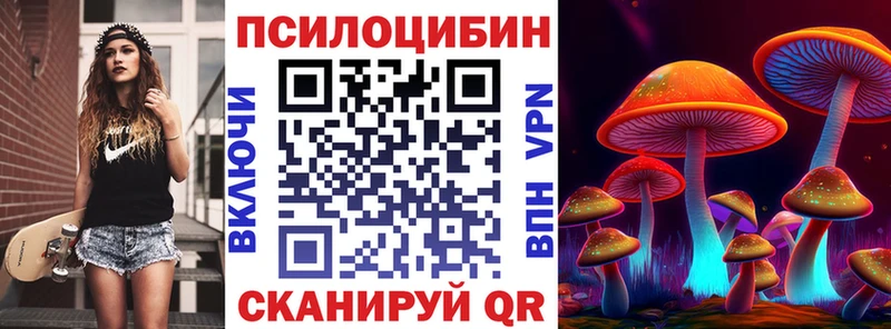 Галлюциногенные грибы Psilocybe  закладки  Кизляр 