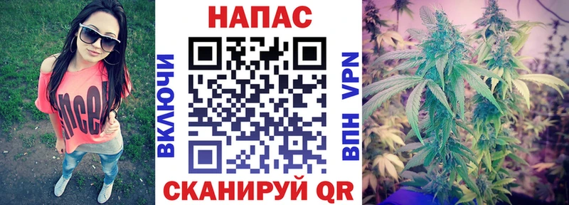 Марихуана SATIVA & INDICA  Кизляр 